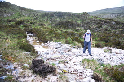 Walk photo