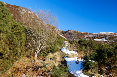 Walk photo