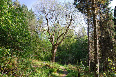 Walk photo