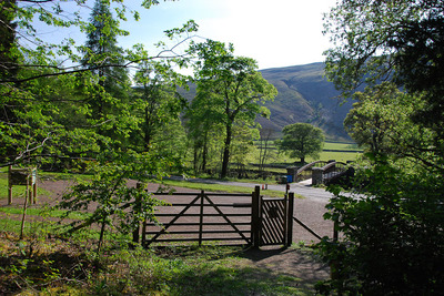 Walk photo
