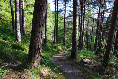 Walk photo