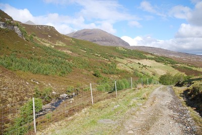 Walk photo