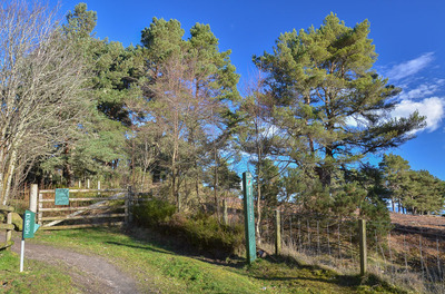 Walk photo