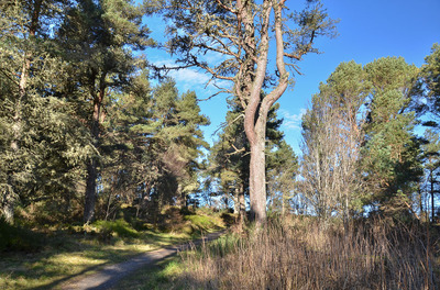 Walk photo