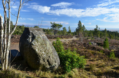 Walk photo