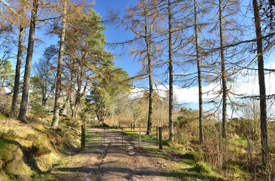 Walk photo