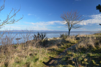 Walk photo