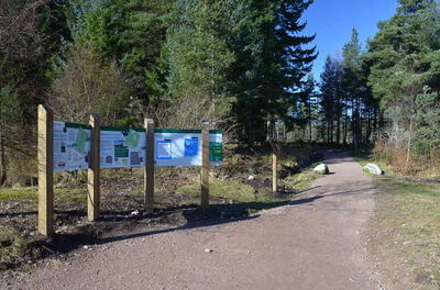 Walk photo