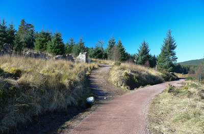 Walk photo