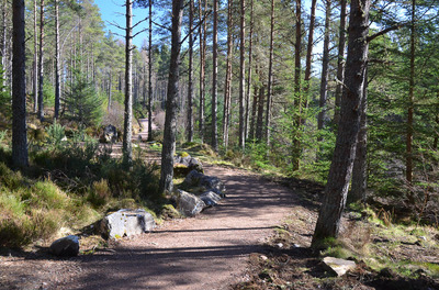 Walk photo