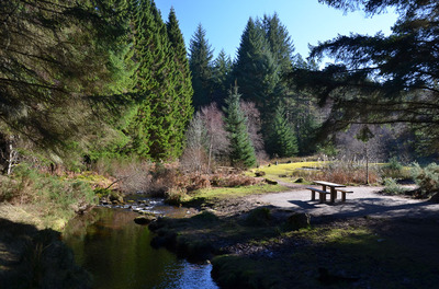 Walk photo