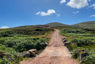Walk photo