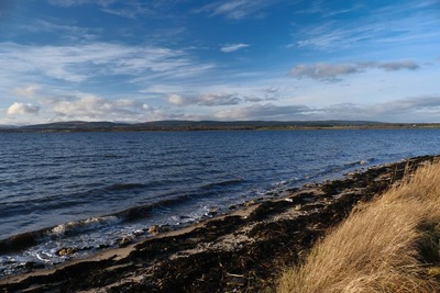 Walk photo