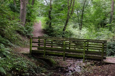 Walk photo