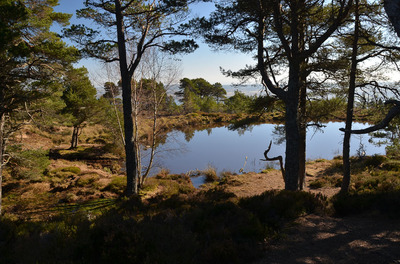 Walk photo