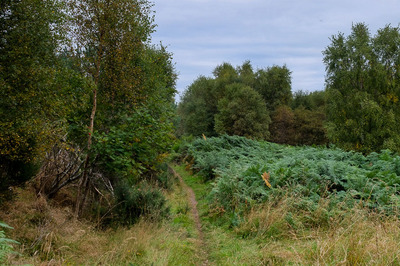 Walk photo