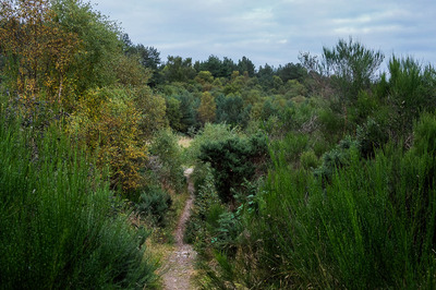 Walk photo