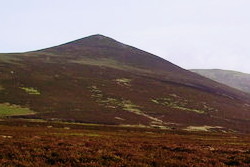 Great Calva