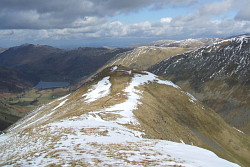 Middle Dodd